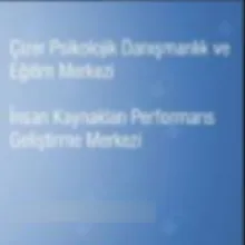 Çizer Psikolojik Danışmanlık Merkezi -İK Psikolojik Performans Geliştirme Merkezi – Kocaeli
