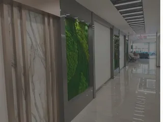 Özel Dent Gebze Ağız ve Diş Sağlığı Polikliniği galerisinden görsel 4